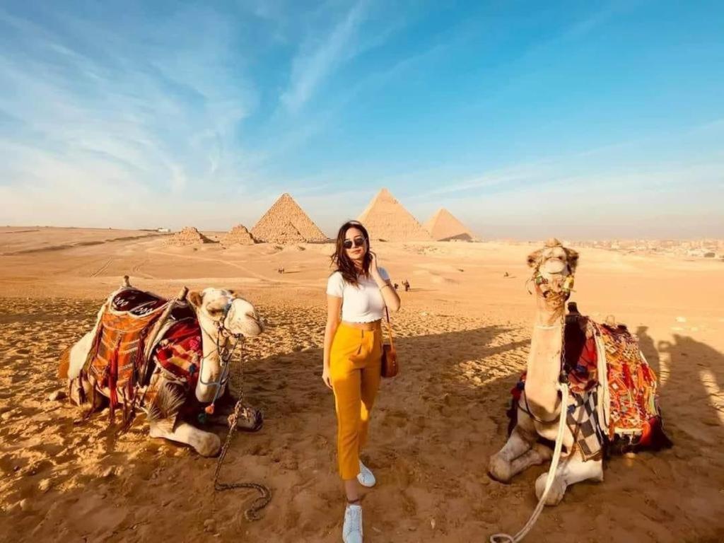 Pyramids Express Le Caire